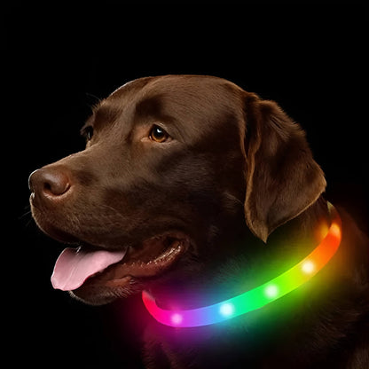 USB Rechargeable LED Dog Collar – Bright, Safe & Adjustable Night Walks