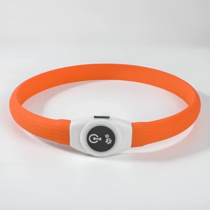 USB Rechargeable LED Dog Collar – Bright, Safe & Adjustable Night Walks