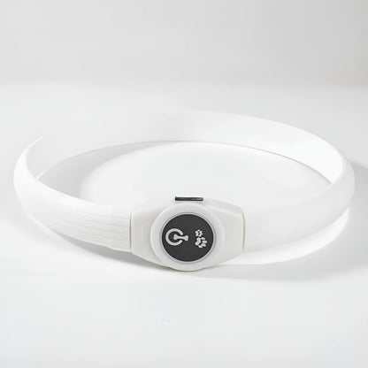 USB Rechargeable LED Dog Collar – Bright, Safe & Adjustable Night Walks