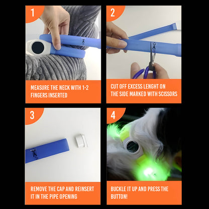 USB Rechargeable LED Dog Collar – Bright, Safe & Adjustable Night Walks