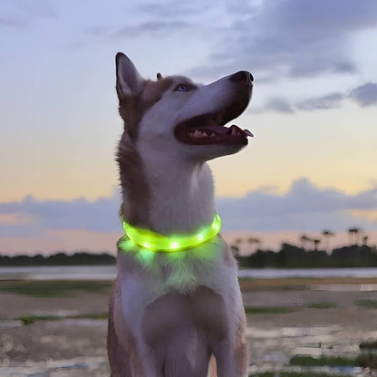 USB Rechargeable LED Dog Collar – Bright, Safe & Adjustable Night Walks