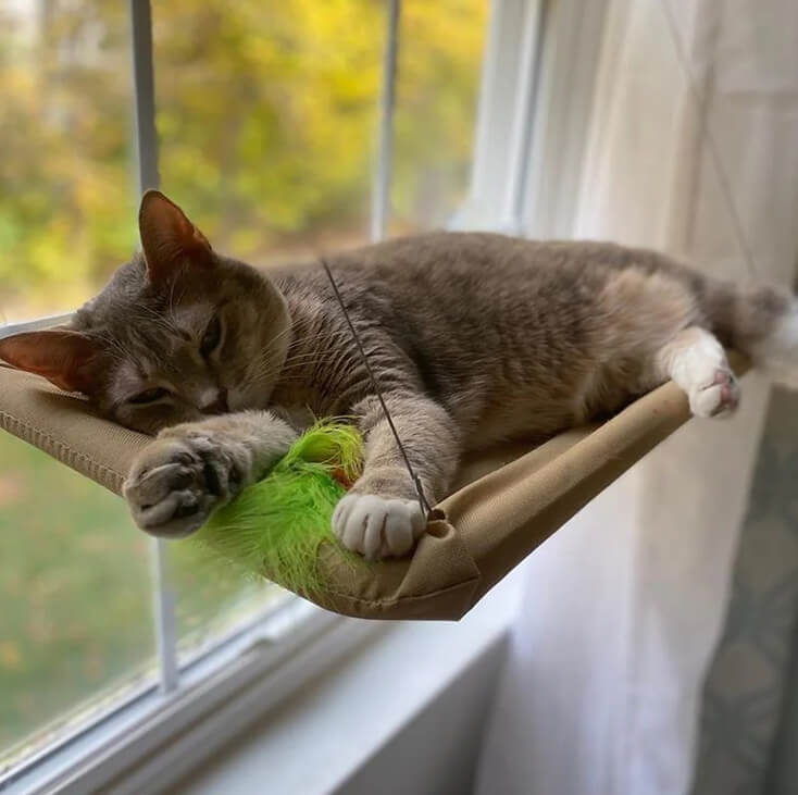 Cozy Cat Window Hammock – Space-Saving Spot for Curious Cats