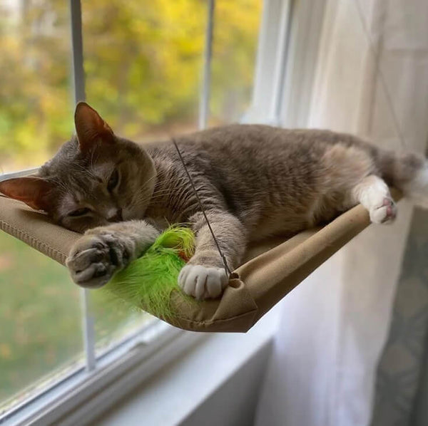 Cozy Cat Window Hammock – Space-Saving Spot for Curious Cats