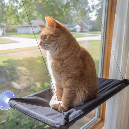 Cozy Cat Window Hammock – Space-Saving Spot for Curious Cats